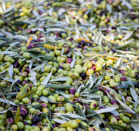 full-frame-shot-vegetables-market